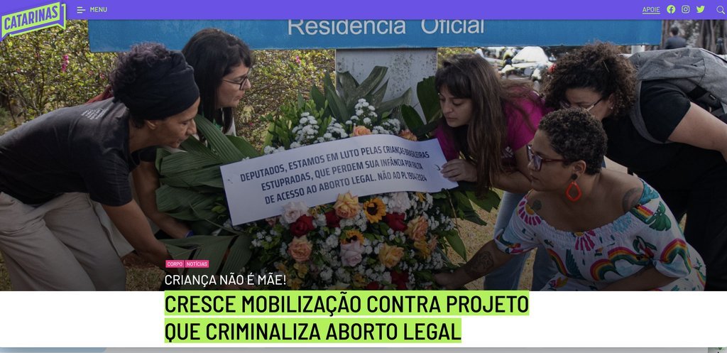 Screenshot of the Associação Portal Catarinas website
