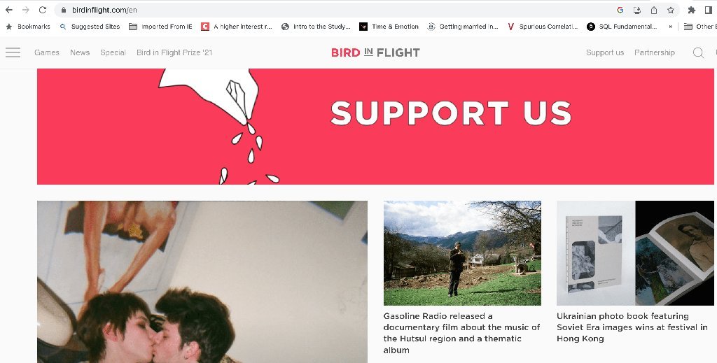Screenshot of the Bird in Flight website
