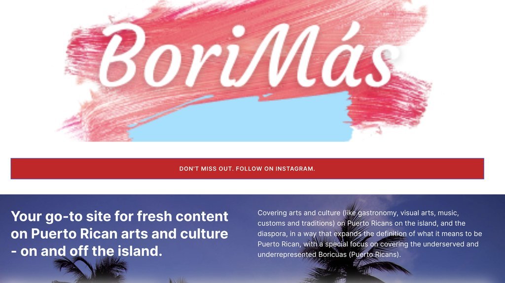 Screenshot of the BoriNews website