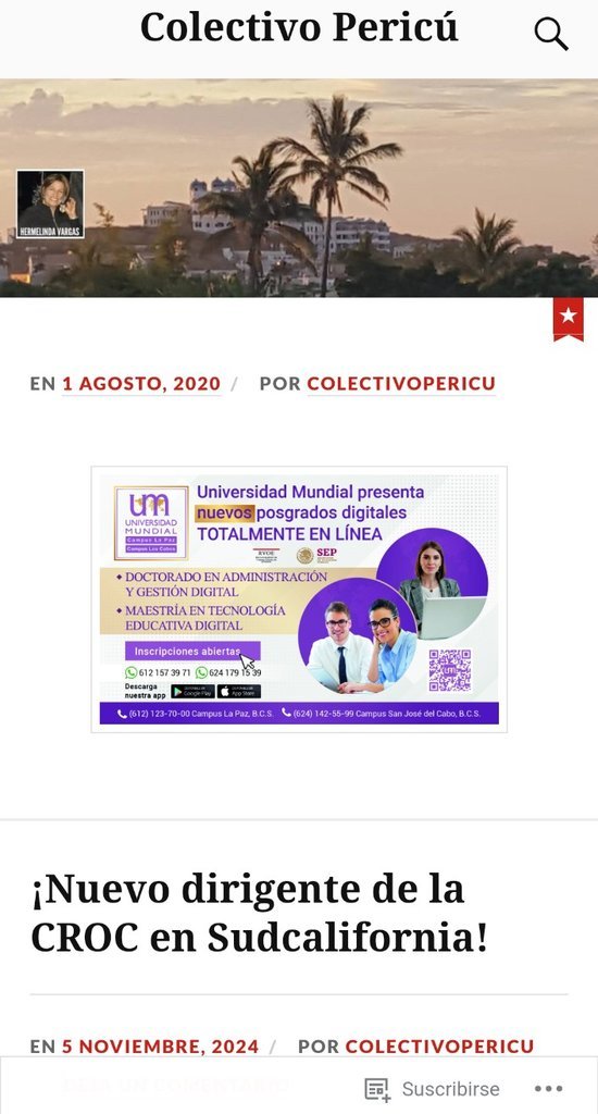 Screenshot of the Colectivo Pericu website