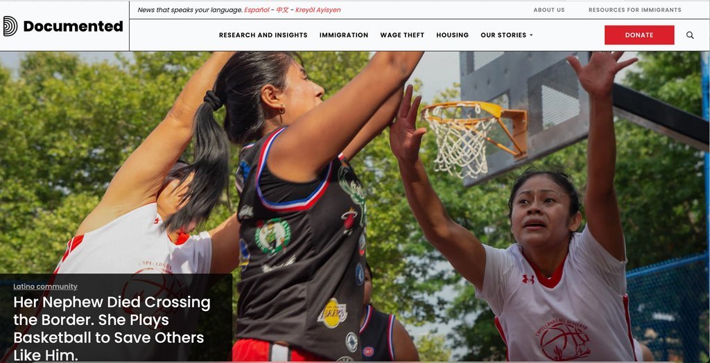 Screenshot of the Documented website