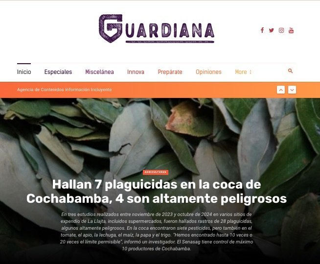 Screenshot of the Guardiana website