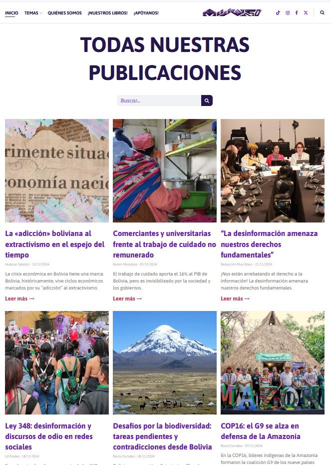 Screenshot of the Muy Waso website