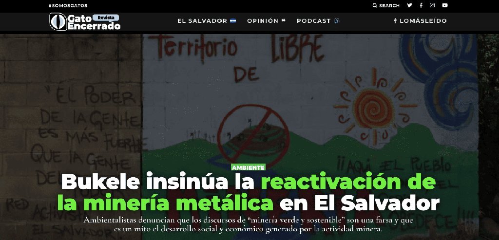 Screenshot of the Revista Gatoencerrado website