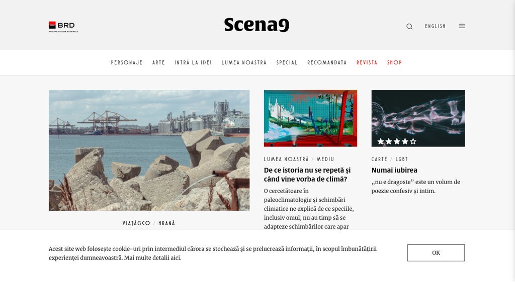 Screenshot of the Scena9 website