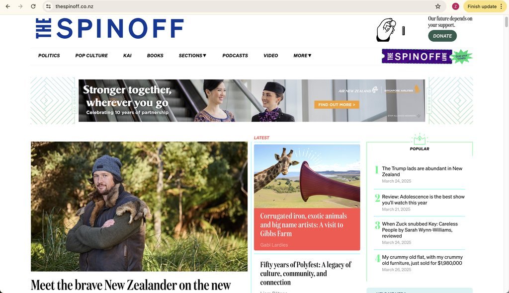 Screenshot of the The Spinoff website